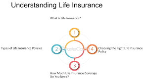 1.Understanding Different Types of Life Insurance: